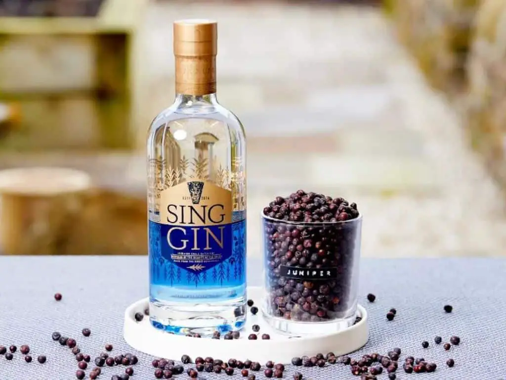 What does gin taste like? We asked 5 experts to find out