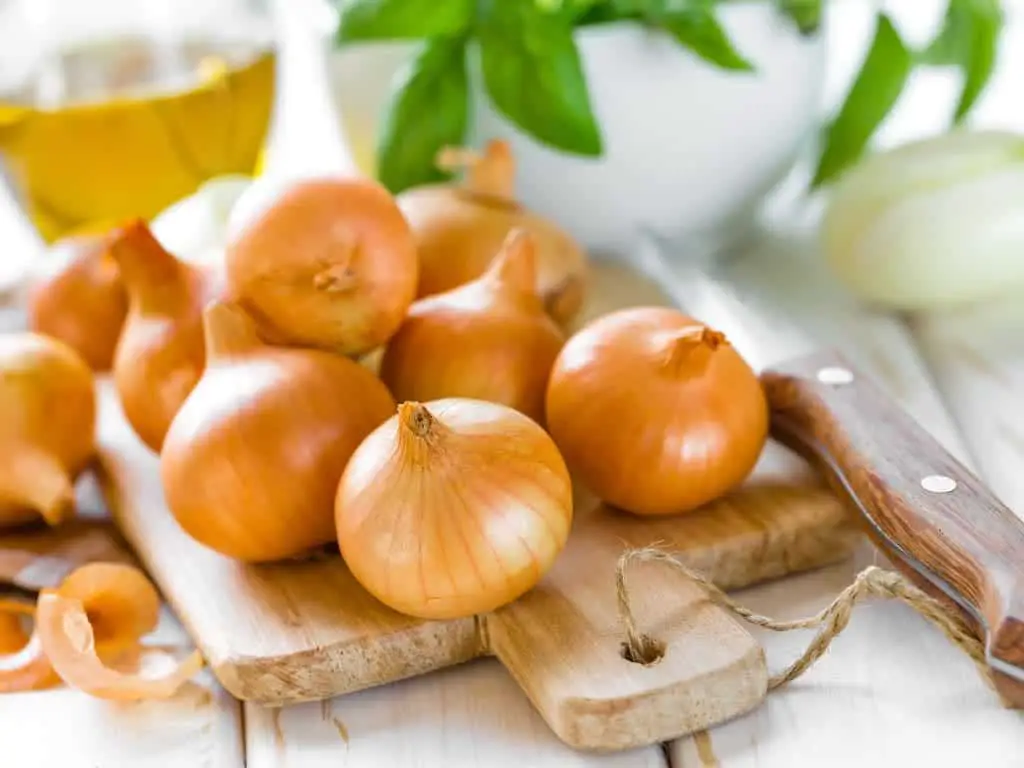 Are Onions a Vegetable?